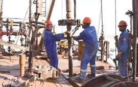عمال الجزائر المنتصرة..كـسـب رهـان التـنمـيـة المسـتـــدامة عمال الجزائر المنتصرة..كـسـب رهـان التـنمـيـة المسـتـــدامة