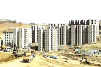 قطـاع السكن..دينـاميكية عاليــة بمستغانـم