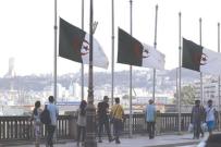 الإصلاحات الاجتماعية والاقتصادية..موسم جني الثمار