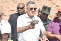 النعامة..إطلاق 300 طائر من الحجل البربري بجبل عيسى