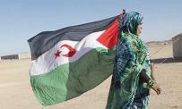 الصحراويون يراهنون على الوحدة والسلاح لاستعادة أرضهم