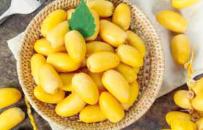 هـذه فـوائد البلــح