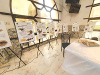 شاهـد على عظمة حضـارات الصحـراء..