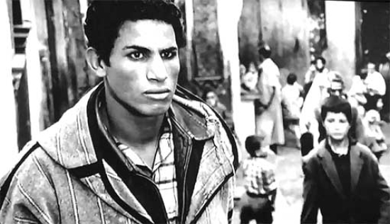 الـبيض تطلق فعاليات أسبوع الفيلم الـثـوري