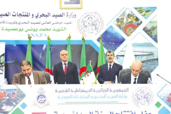 التّكوين يسهم في رفع القــدرات الإنتاجيـــة للصّيـد البحــري