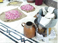 قسنطينــة..أصالة الماضي قوّة الدّفع نحو المستقبل