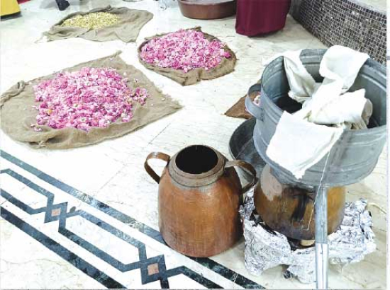 قسنطينــة..أصالة الماضي قوّة الدّفع نحو المستقبل