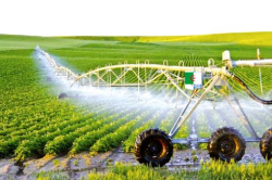 الجلفـة..انتعاش غير مسبـوق للإنتـاج الفـلاحي