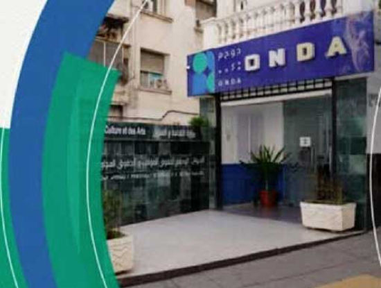 الإبداع يحتاج الحصانة في العصـر الرّقمـي