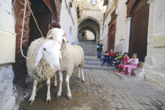 أسلـوب “جمـالي” للتّملّص من “البوزلــوف” و”الــدوارة”