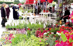 معرض الورود يكسو البليدة حلّة بهيجة