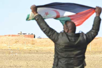 أستراليا تنهي استـيراد الفوسفات من الصّحـراء الغربيـــة