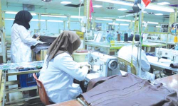 ورقـة طريـــق طموحة لبعـث فرعــي النسيـج والجلود