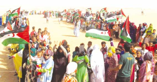 معركــة صحراويـة متواصلة لدحض أكاذيب المحتـل المغربي