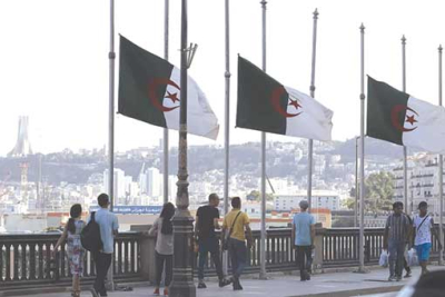 الإصلاحات الاجتماعية والاقتصادية..موسم جني الثمار