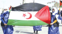 أساتـذة وباحـثون أمريكيــّون يدافعون عن جبهـة البوليسـاريو