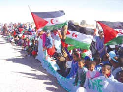 إجماع على مواصلـة النضال إلى أن يســتردّ الصحراويـون حرّيتهـم