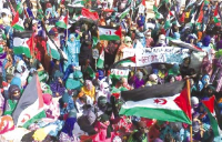 المنظمات النقابيـة تدعـو إلى حـشد الدّعم للقضيـة الصحراويـة