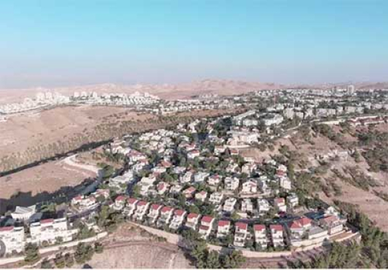 فلسطين تدعـو إلـى تـدخل دولـي