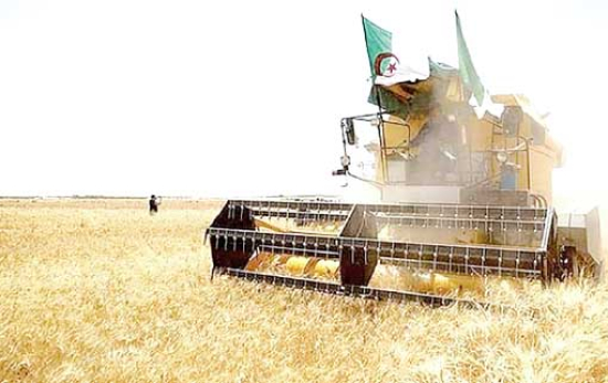 الاستفـادة مــن التجربـة الجزائريــة في دعــم الفلاحــة..ضـرورة