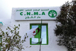 النعامـة..التأمين الفلاحي مـن المخاطـر إلى الفــرص