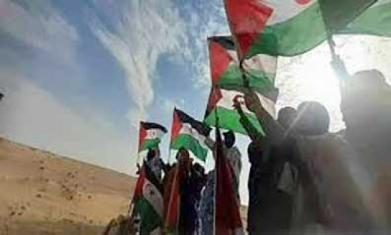 مقرّرة أمميـة تُطالـب المغـرب بوضع حدّ لقمع الحقوقيــين الصحراويـين